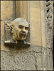 Bodleian head