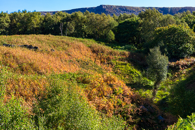 Wildboar Clough, Longdendale