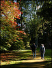 walk in the arboretum