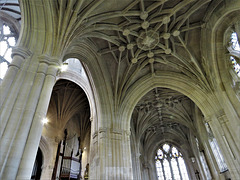 steeple ashton church wilts c16 vaulting (2)