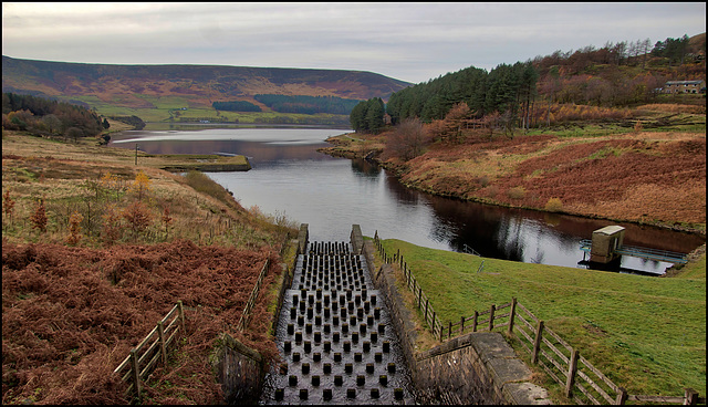 HFF..............................from Dovestone