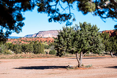 New Mexico landscape55