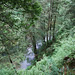 Capilano River