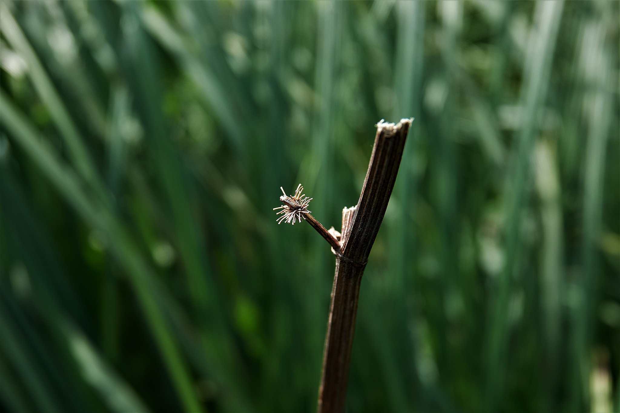 A Stick