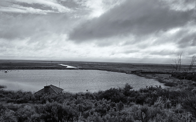 Malheur Refuge HQ Pond