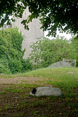 Château du Coudray-Salbart (10)