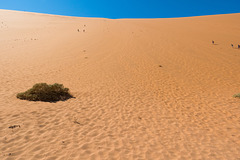 Namibia-0548