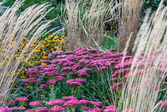 267-365, ein windiger Tag