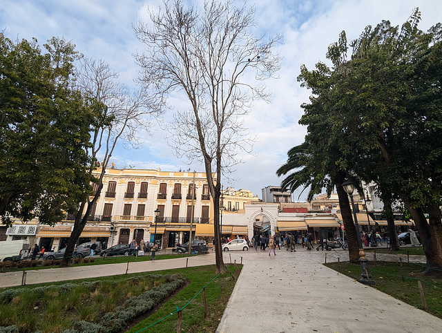 Arbres et nuages avec rue vivante