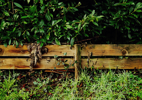 A Fence for Friday