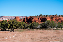 New Mexico landscape57