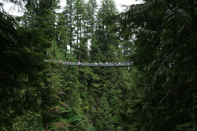 Capilano Suspension Bridge