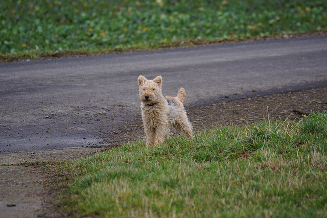 Nora im Sturm