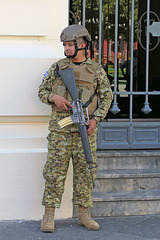 Guarding the National Theater