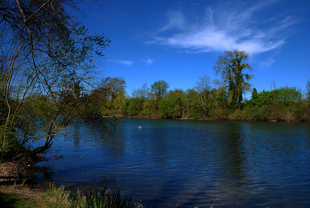 Paysage couvert de bleus