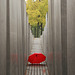 Ein roter Schirm -Red Umbrella