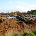 Railway Sleepers at the Quarry near Weeford Park