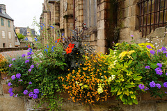 Blumen an der Église Saint Jean du Baly