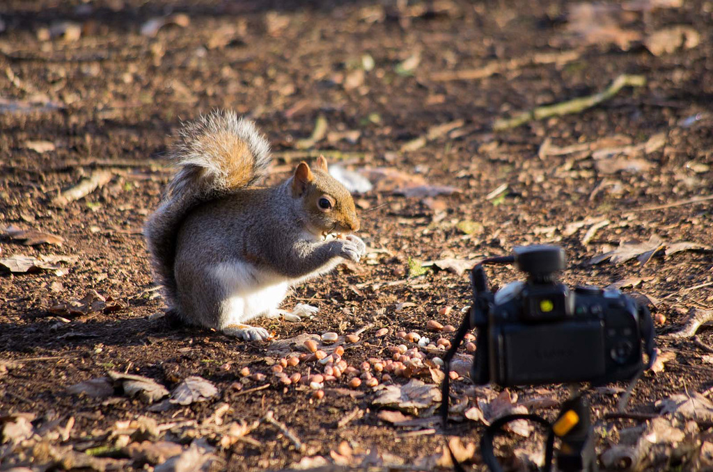 Posing for the camera