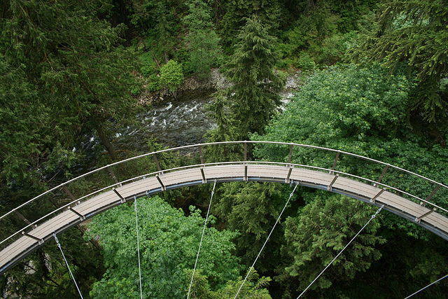 Capilano Cliff Walk