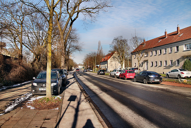 Kaiserswerther Straße (Duisburg-Huckingen) / 20.01.2024