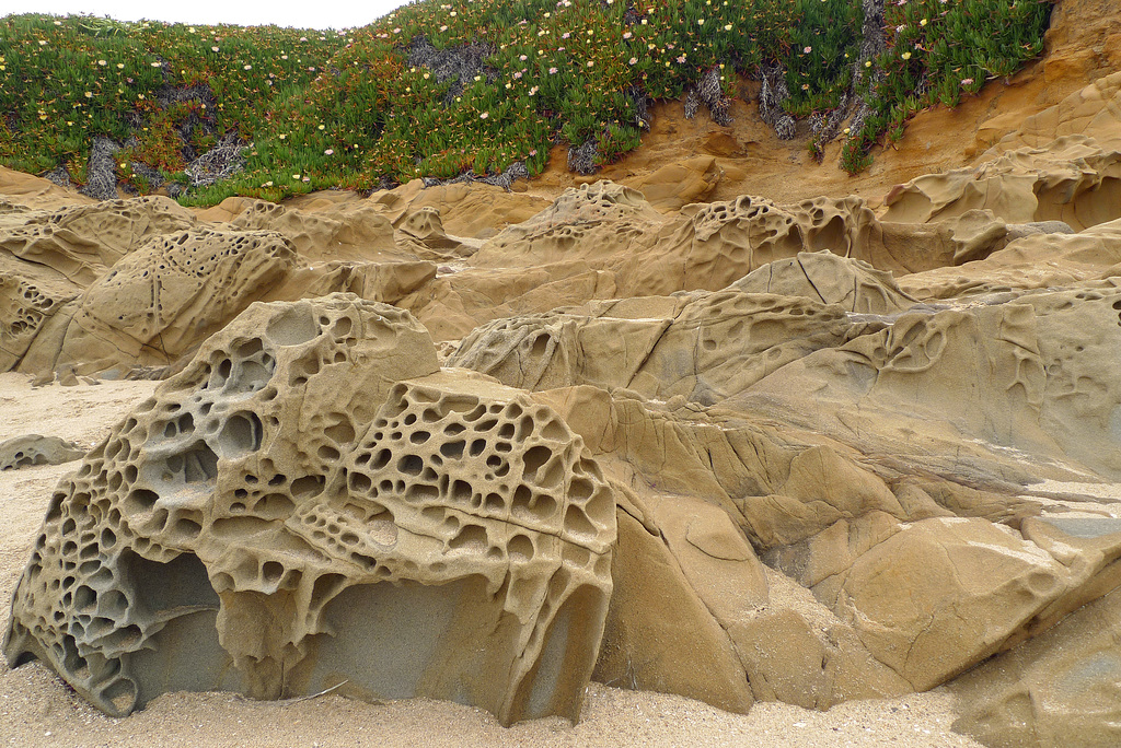 USA - California, Bean Hollow State Beach