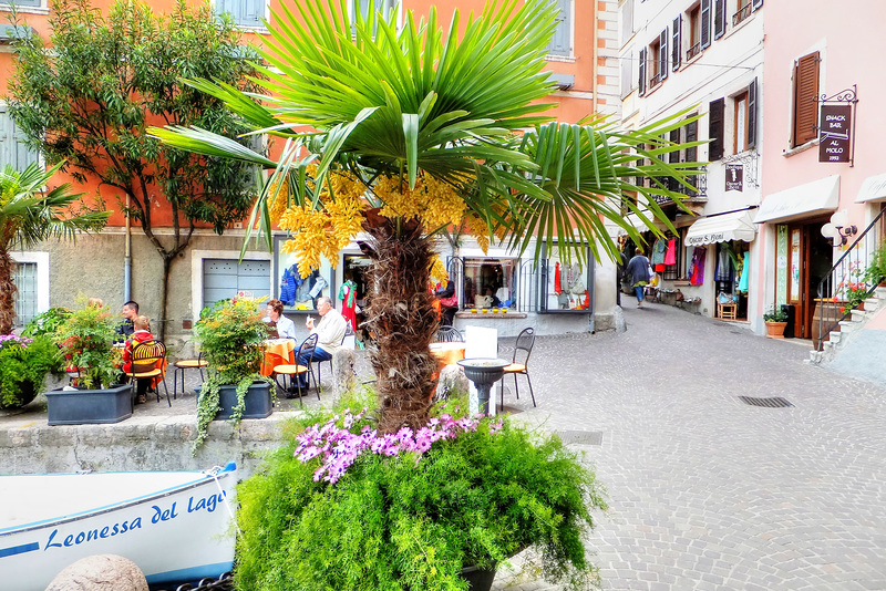 Blüten im alten Hafen. ©UdoSm