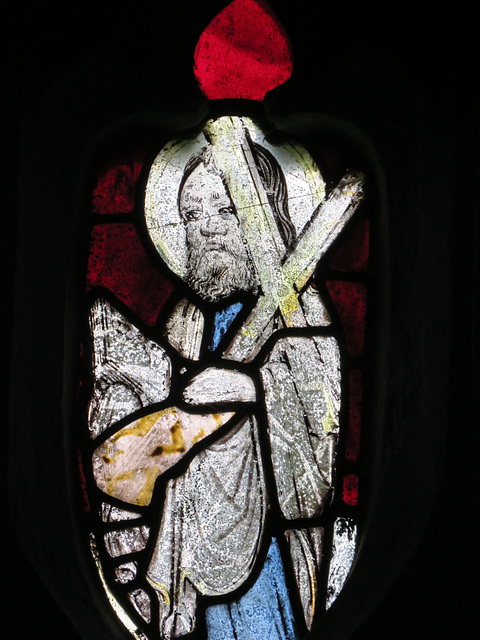 manaton church, devon , c15 glass   (4)