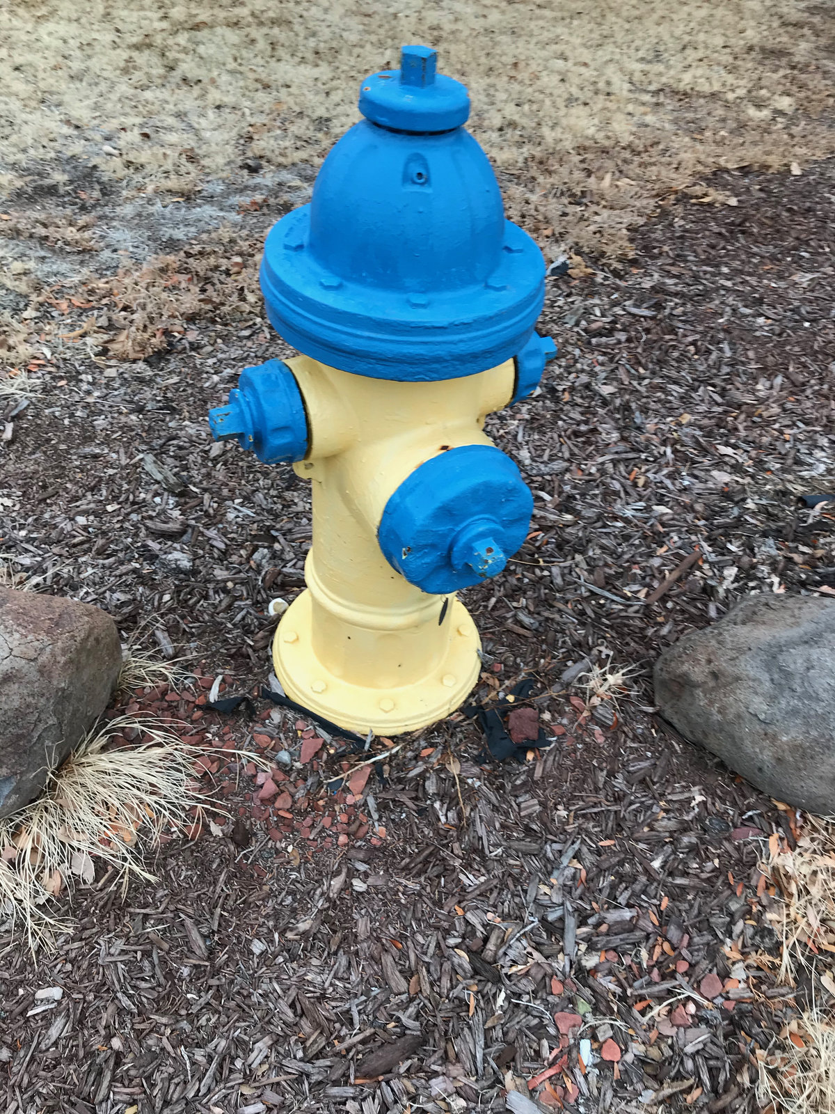 Fire Hydrant