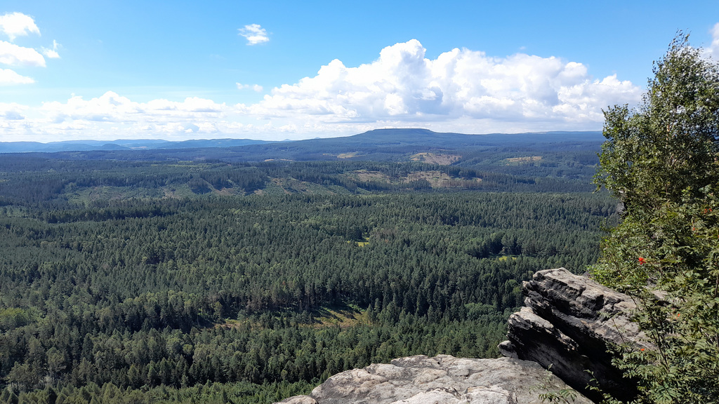 Zschirnsteine 042