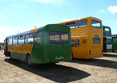 'BUSES Festival' at Sywell Aerodrome - 7 Aug 2022 (P1120909)