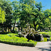 Day 183/365:2026 Vierströmebrunnen Day 183/365:2026 Vierströmebrunnen