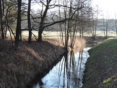 Schneidegraben bei Saalow