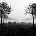 Kronsberg im Nebel