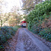 Sheep arriving on the footpath from Little Hay Lane to Manley Wood