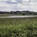 New lake alongside the A331 1995 - for HFF