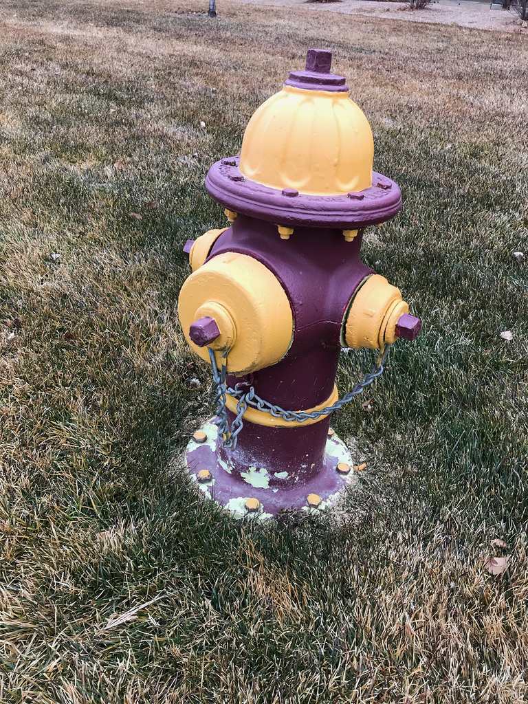 Fire Hydrant