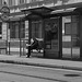 short break