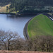 Kinder Reservoir from White Brow