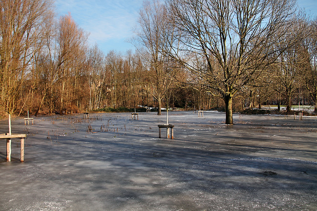 Überschwemmte und zugefrohene Wiese am Alten Angerbach (Duisburg-Wanheim-Angerhausen) / 20.01.2024