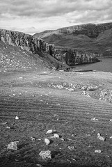 Stones and sheeps Stones and sheeps