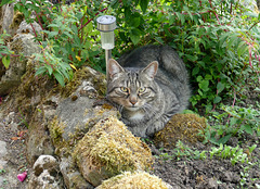 La nouvelle cachette de Minuit
