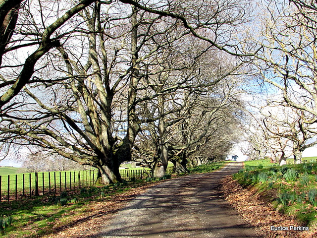 Farm Track.