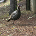 IMG 4053