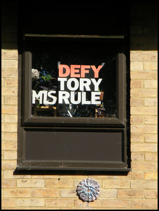 anarchic leftie window