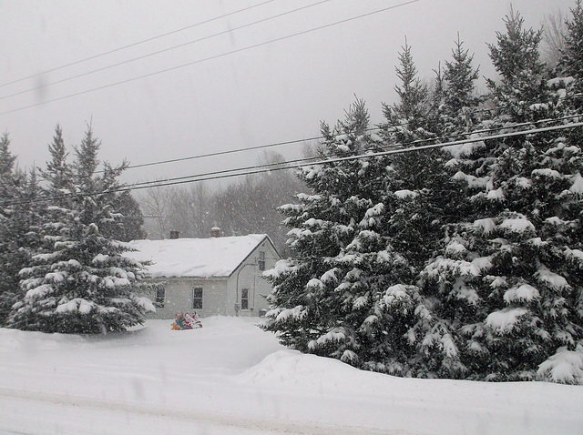 Au fil de l'hiver