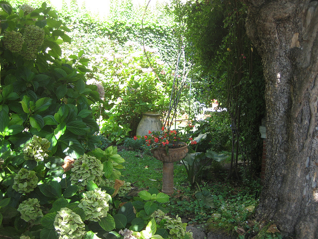 Verschwiegener Garten in Ceret