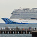 EOS 90D Peter Harriman 17 39 05 46891 norwegianBliss dpp