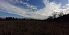 Clouds Over the Field