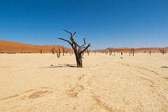 Namibia-0556